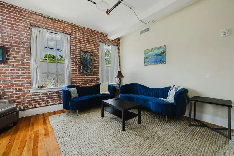 Apt 201 living room with tall original windows and blue velvet sofa
